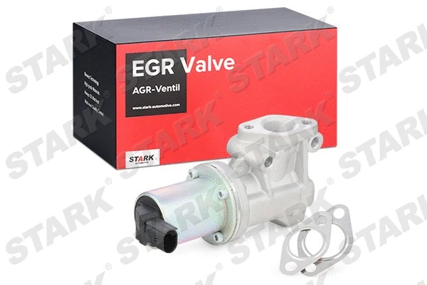 EGR Valve