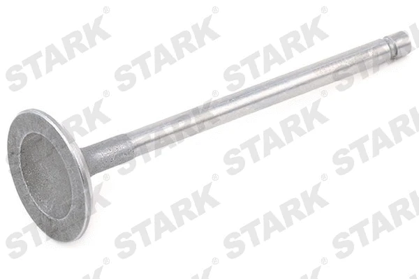 Intake Valve (SKINV-3270010)
