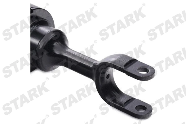 Air Suspension Strut (SKAST-1860036)