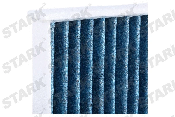 Filter, cabin air (SKIF-0170496)