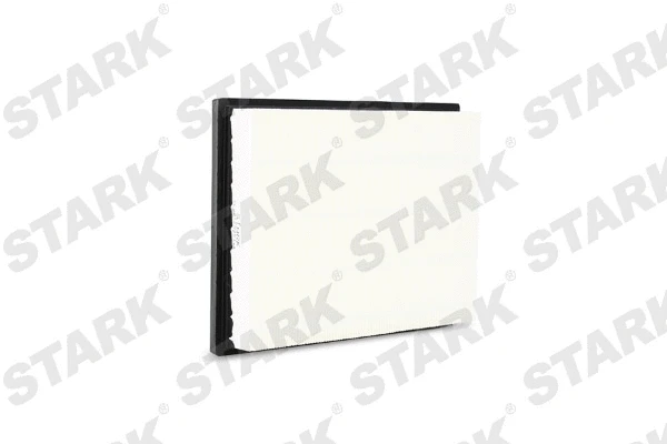 Air Filter (SKAF-0060399)