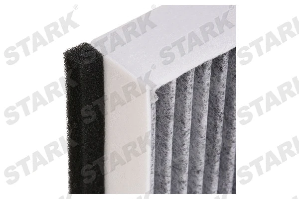 Filter, cabin air (SKIF-0170075)