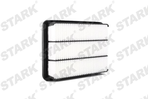 Air Filter (SKAF-0060325)