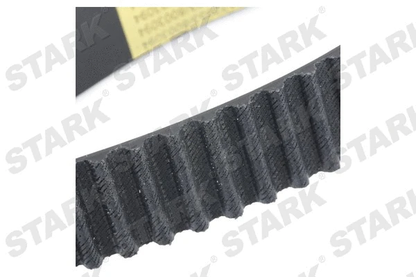 Timing Belt
