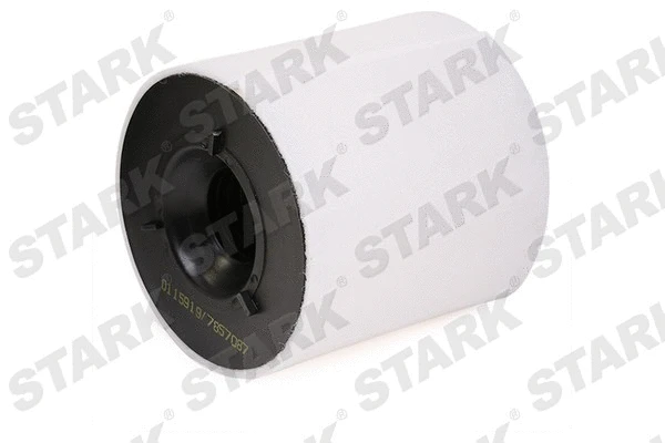 Air Filter (SKAF-0060170)