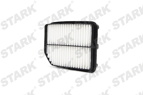 Air Filter (SKAF-0060241)