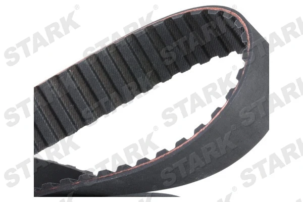 Timing Belt