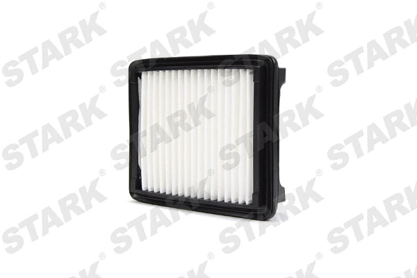 Air Filter (SKAF-0060323)