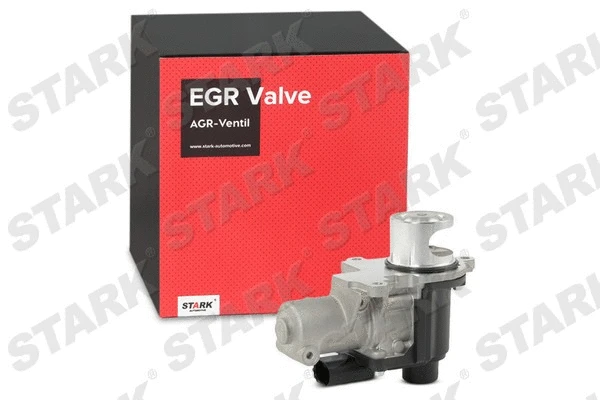 EGR Valve