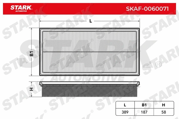Air Filter (SKAF-0060071)
