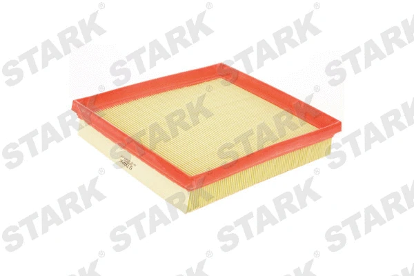Air Filter (SKAF-0060070)
