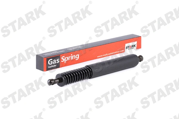 Gas Spring, boot/cargo area