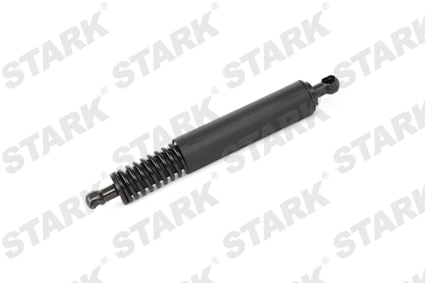 Gas Spring, boot/cargo area