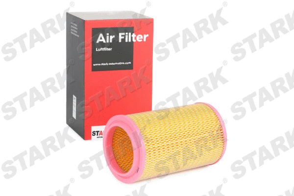 Air Filter (SKAF-0060081)