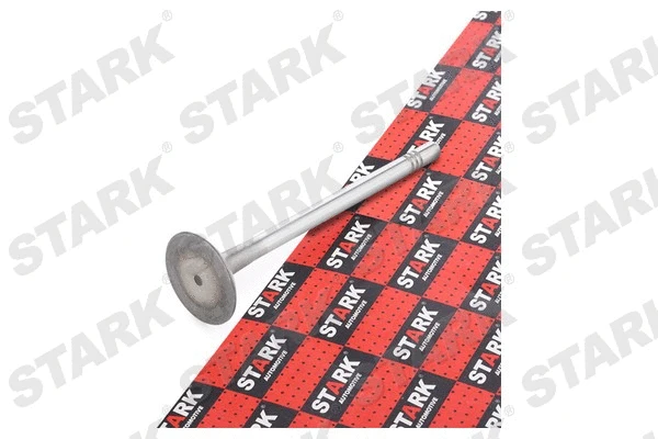 Intake Valve