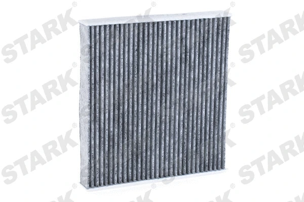 Filter, cabin air (SKIF-0170224)