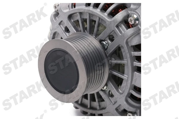 Alternator (SKGN-0321246)