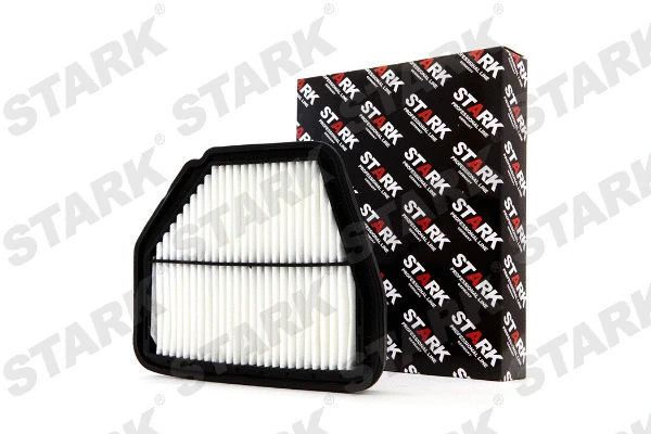Air Filter (SKAF-0060189)