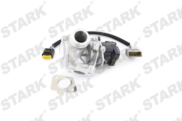 EGR Valve
