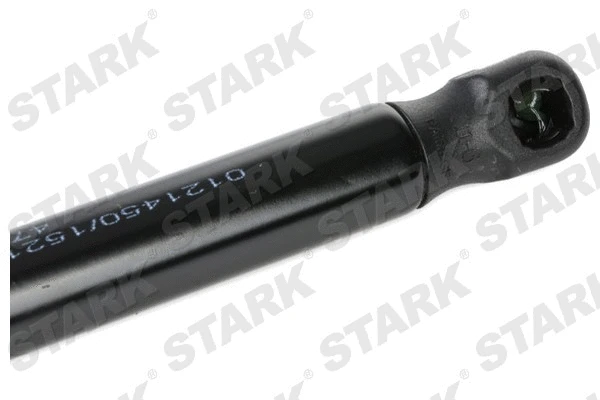 Gas Spring, boot/cargo area