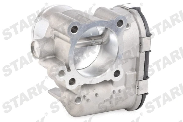Throttle Body (SKTB-0430166)