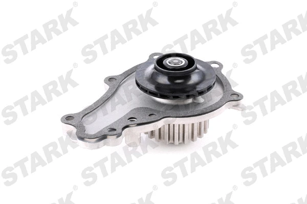 Water Pump & Timing Belt Kit
