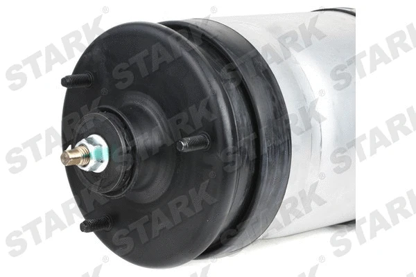 Air Suspension Strut