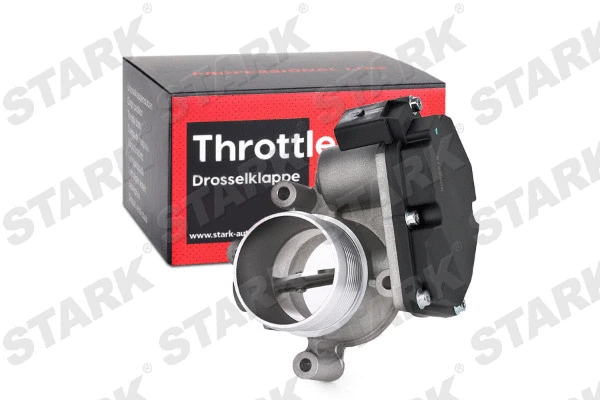 Throttle Body