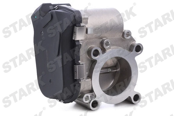 Throttle Body (SKTB-0430129)