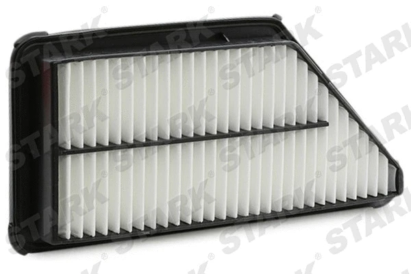 Air Filter (SKAF-0060566)