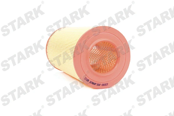 Air Filter (SKAF-0060029)