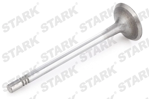 Intake Valve