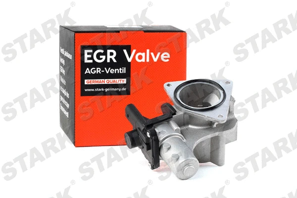 EGR Valve