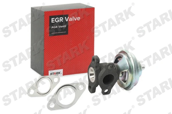 EGR Valve