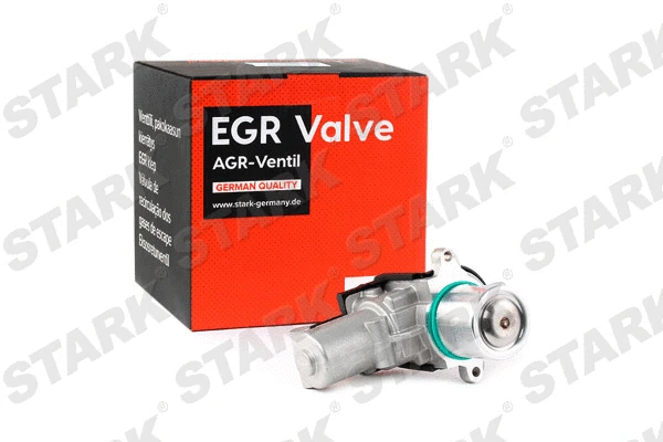 EGR Valve
