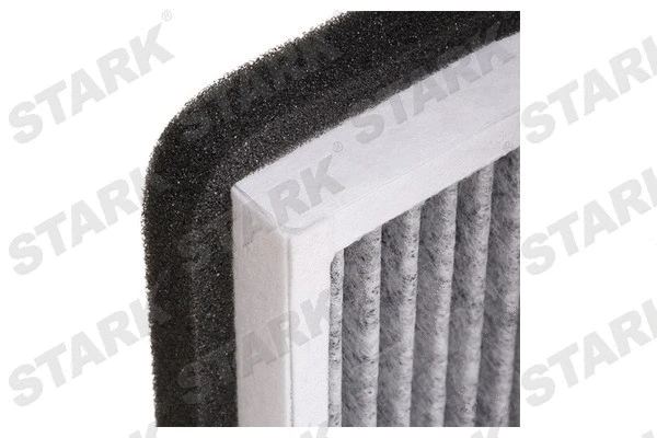 Filter, cabin air (SKIF-0170190)