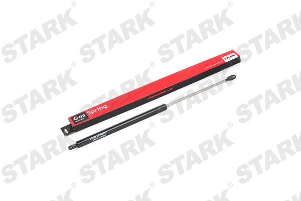 Gas Spring, boot/cargo area