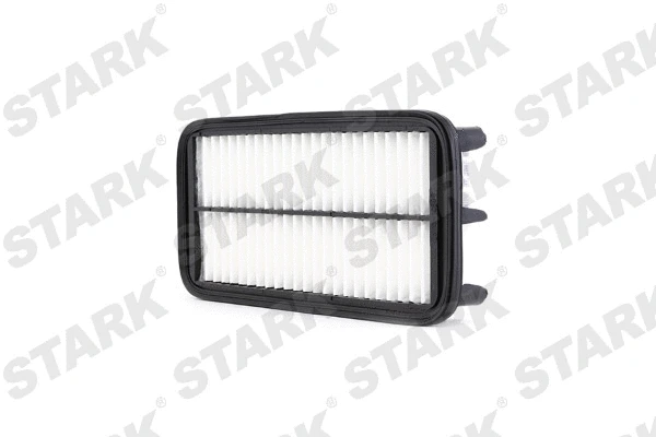 Air Filter (SKAF-0060220)