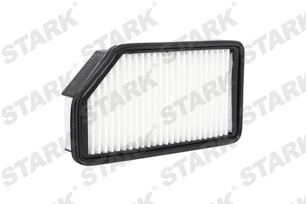 Air Filter (SKAF-0060223)