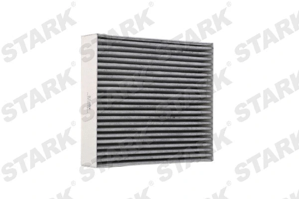 Filter, cabin air (SKIF-0170058)