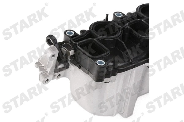 Intake Manifold Module (SKIMM-3170005)