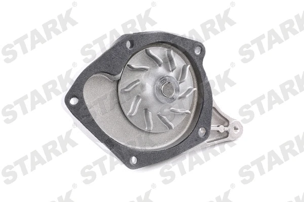 Water Pump & Timing Belt Kit