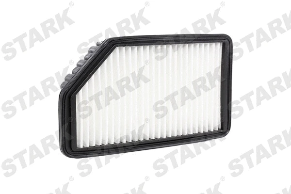 Air Filter (SKAF-0060482)
