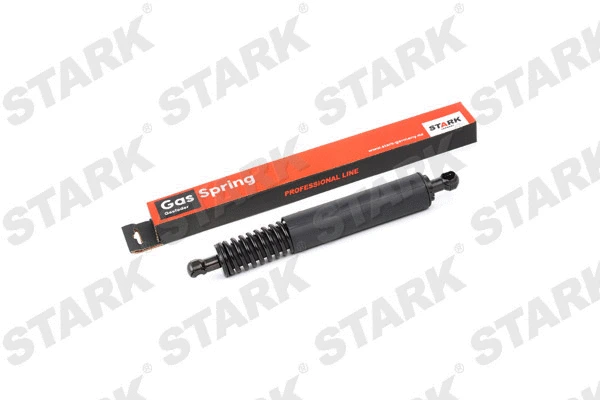 Gas Spring, boot/cargo area