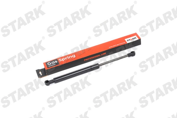 Gas Spring, boot/cargo area
