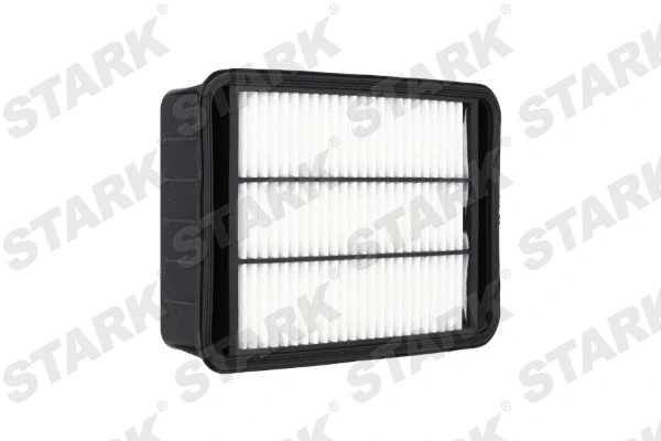 Air Filter (SKAF-0060065)