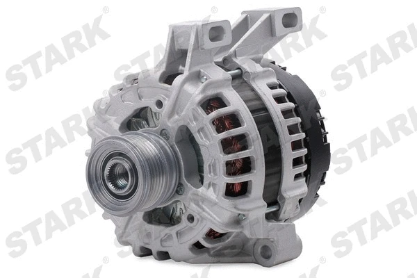 Alternator (SKGN-0321198)