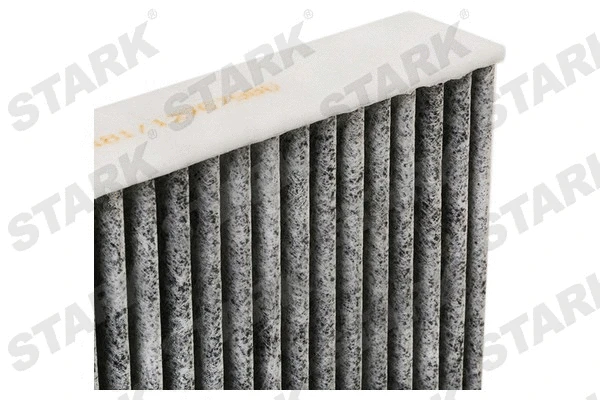 Filter, cabin air (SKIF-0170420)