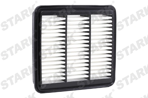 Air Filter (SKAF-0060041)