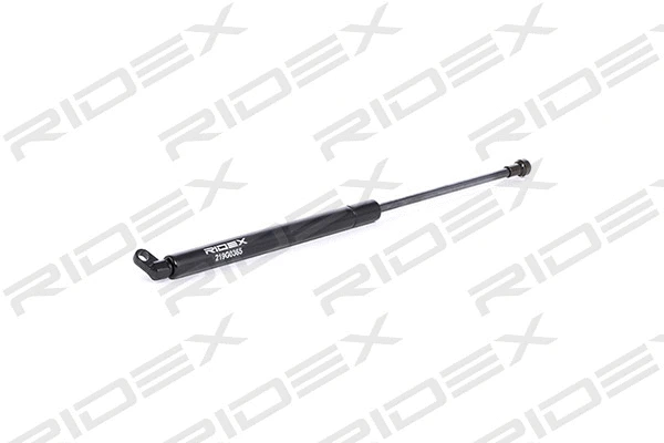 Gas Spring, boot/cargo area (219G0365)